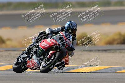 media/Oct-08-2022-SoCal Trackdays (Sat) [[1fc3beec89]]/Turn 14 (1050am)/